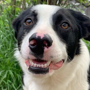 Meet your Posher, Brianna